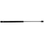 cciyu Qty(2) SG314036 Lift Supports Struts Gas Springs Shocks Replacement fit for 2002-08 Dodge Ram 1500 2500 3500 4500 5500 Front Hood cciyu Qty(2) SG314036 Lift Supports Struts Gas Springs Shocks Replacement fit for 2002-08 Dodge Ram 1500 2500 3500 4500 5500 Front Hood