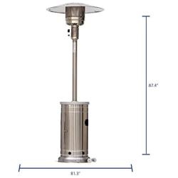 Style Selections/Garden Treasures 48,000 BTU Stainless Steel Floorstanding Liquid Propane Patio Heater