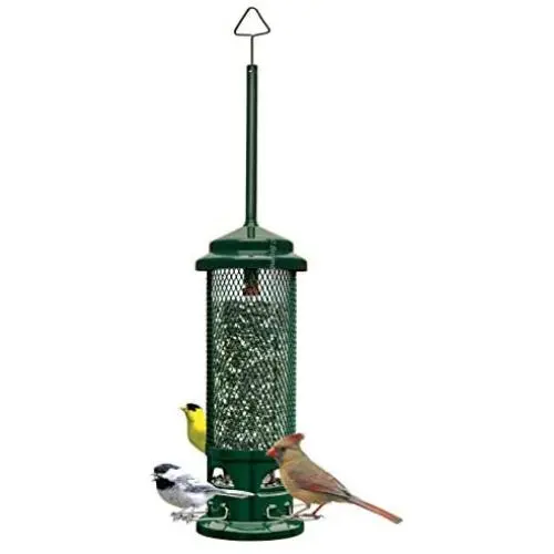 Squirrel Buster Legacy Squirrel-proof Bird Feeder w/4 Metal Perches, 2.6-pound Seed Capacity