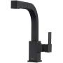 Pfister LG534-LPMB Arkitek Kitchen Faucet With Pull-Out Sprayhead, 1/2 Inches, Matte Black