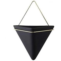 DENOME Geometric Wall Decor Containers Geometric Hanging Planter Vase Wall Planters Hanging Planter Succulent Planter with Metal Frame for Succulent Plants Air Plant (Black)