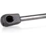 cciyu Qty(4) Liftgate and Hood Lift Supports Struts Replacement fit for 2002 Lincoln Blackwood,1998-2002 Lincoln Navigator