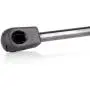 cciyu Qty(4) Liftgate and Hood Lift Supports Struts Replacement fit for 2002 Lincoln Blackwood,1998-2002 Lincoln Navigator