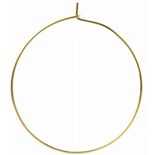 (Apfel) 30 pcs Surgical Stainless Wine Glass Charm Hoops [ Gold ] 20 mm, Wine Rings, Wine Glass Jewelry, Charm Holder, Hypoallergenic,Non Tarnish, Non Metal Allergy, Parts, フープピアス 20mm ゴールド
