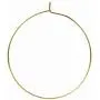 (Apfel) 30 pcs Surgical Stainless Wine Glass Charm Hoops [ Gold ] 20 mm, Wine Rings, Wine Glass Jewelry, Charm Holder, Hypoallergenic,Non Tarnish, Non Metal Allergy, Parts, フープピアス 20mm ゴールド