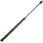 cciyu Qty(2) SG314036 Lift Supports Struts Gas Springs Shocks Replacement fit for 2002-08 Dodge Ram 1500 2500 3500 4500 5500 Front Hood cciyu Qty(2) SG314036 Lift Supports Struts Gas Springs Shocks Replacement fit for 2002-08 Dodge Ram 1500 2500 3500 4500 5500 Front Hood