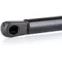 cciyu Qty(2) 4192 Lift Supports Struts Gas Springs Shocks Replacement fit for 2001 2002 2003 2004 2005 2006 Hyundai Santa Fe Rear Window Glass cciyu Qty(2) 4192 Lift Supports Struts Gas Springs Shocks Replacement fit for 2001 2002 2003 2004 2005 2006 Hyundai Santa Fe Rear Window Glass