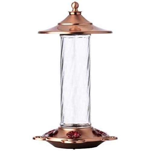 More Birds Glory Hummingbird Feeder, Glass Bottle, 5 Feeding Ports and 14-Ounce Nectar Capacity