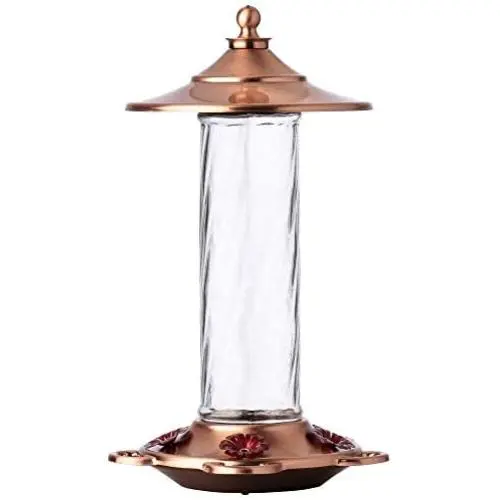 More Birds Glory Hummingbird Feeder, Glass Bottle, 5 Feeding Ports and 14-Ounce Nectar Capacity