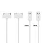 POWERADD Apple Certified iPhone 4 4s 3G 3GS iPad 1 2 3 iPod Touch Nano 30 Pin Charger USB Sync Cable (2PCS)