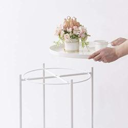 OVICAR Metal Tray End Table, Round Accent Coffee Side Table, Anti-Rust and Waterproof Outdoor Small Side Table, Indoor Modern Sofa Side Table Bedside Table for Living Room Bedroom Balcony (White)