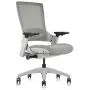 CLATINA Ergonomic High Swivel Executive Chair with Adjustable Height 3D Arm Rest Lumbar Support and Mesh Back for Home Office Gray CLATINA Ergonomic High Swivel Executive Chair with Adjustable Height 3D Arm Rest Lumbar Support and Mesh Back for Home Office Gray