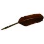 KenTaur Calligraphy Quill Pen Set (CS-0205) - Dip Pen with Brown Turkey Feather, 6 Stainless Steel Nib, and European Ink. Great for Beginner/Enthusiast