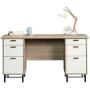 Sauder Anda Norr Executive Desk, L: 56.3'' x W: 22.13'' x H: 29.53'', Sky Oak