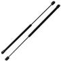 2Pcs Gas Struts 20 Inch 60 lbs Prop Lift Springs Rod Heavy Duty Tool Box Lid Top RV Pair by Motion18