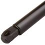 cciyu Qty(4) Liftgate and Hood Lift Supports Struts Replacement fit for 2002 Lincoln Blackwood,1998-2002 Lincoln Navigator