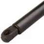 cciyu Qty(4) Liftgate and Hood Lift Supports Struts Replacement fit for 2002 Lincoln Blackwood,1998-2002 Lincoln Navigator