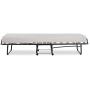 Linon Home Dcor Linon Memory Foam Luxor Folding Bed, Single, Beige