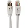 Amazon Basics RJ45 Cat7 Network Ethernet Patch Internet Cable - 10 Feet, 10-Pack Amazon Basics RJ45 Cat7 Network Ethernet Patch Internet Cable - 10 Feet, 10-Pack