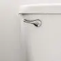 Qualihome Toilet Handle Lever Flush Replacement, Front Mount, Chrome, Universal Fitting