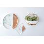 Ivolador Modern Wall Planter, Metal Wire Octagon Design Wall-Mounted Shelves with Ceramic Flower Pot, Air Plant Container Hanging Vase Desktop Succulents Planter-Golden