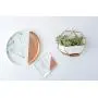 Ivolador Modern Wall Planter, Metal Wire Octagon Design Wall-Mounted Shelves with Ceramic Flower Pot, Air Plant Container Hanging Vase Desktop Succulents Planter-Golden