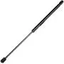 cciyu Qty(2) SG314036 Lift Supports Struts Gas Springs Shocks Replacement fit for 2002-08 Dodge Ram 1500 2500 3500 4500 5500 Front Hood cciyu Qty(2) SG314036 Lift Supports Struts Gas Springs Shocks Replacement fit for 2002-08 Dodge Ram 1500 2500 3500 4500 5500 Front Hood