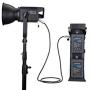Nanlite Forza 300 LED Monolight