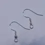 925 Sterling Silver Earring Hooks Hypoallergenic French Wire Hooks Fish Hook Earrings Jewelry Findings Parts DIY Making 40pcs 925 Sterling Silver Earring Hooks Hypoallergenic French Wire Hooks Fish Hook Earrings Jewelry Findings Parts DIY Making 40pcs