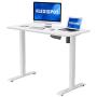 Flexispot Electric Stand Up Desk Workstation with Desktop 42 x 24 Inches Whole-Piece Desk Ergonomic Memory Controller Standing Desk Height Adjustable (White Frame + 42'' White Top)