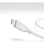 Amazon Basics Double Braided Nylon USB-C to USB-A 2.0 Fast Charging Cable, 3A - 10-Foot, Silver Amazon Basics Double Braided Nylon USB-C to USB-A 2.0 Fast Charging Cable, 3A - 10-Foot, Silver