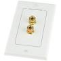 Mediabridge Speaker Wall Plate w/Binding Posts (1 Pair) - Limited TIME Offer: Free Low Voltage Metal Mounting Bracket (1-Gang) - Binding Post 2-Piece Inset Wall Plate for 1 Speaker (Part# WP1-BPX1)