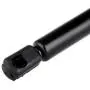 cciyu Qty(2) SG314036 Lift Supports Struts Gas Springs Shocks Replacement fit for 2002-08 Dodge Ram 1500 2500 3500 4500 5500 Front Hood cciyu Qty(2) SG314036 Lift Supports Struts Gas Springs Shocks Replacement fit for 2002-08 Dodge Ram 1500 2500 3500 4500 5500 Front Hood