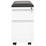 Seville Classics Airlift 2-Drawer Locking Rolling Seat Cushion Home Office Under Desk Pedestal File Storage Cabinet, 12'' W x 23'' D, White Seville Classics Airlift 2-Drawer Locking Rolling Seat Cushion Home Office Under Desk Pedestal File Storage Cabinet, 12'' W x 23'' D, White
