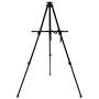 Artecho Artist Easel Display Easel Stand, 2 Pack Metal Tripod Stand Easel for Painting, Hold Canvas from 21'' to 66'', Floor and Tabletop Displaying, Painting with Portable Bag