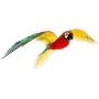 Fascinations ICONX Jubilee Macaw Parrot 3D Metal Model Kit