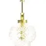 Purism Style Plant Mister- Clear Color Glass Bottle & Brass Sprayer (Matt Gold) Purism Style Plant Mister- Clear Color Glass Bottle & Brass Sprayer (Matt Gold)