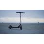 Glion Dolly Foldable Lightweight Adult Electric Scooter UL Certified