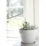 JOCO Home Small Watering Can Indoor Outdoor Metal Silver Water Plants Mini Watering Device Plant Waterer Succulent Bonsai Best Silver Watering Can Modern Design Cute for Kids Room Or Decoration JOCO Home Small Watering Can Indoor Outdoor Metal Silver Water Plants Mini Watering Device Plant Waterer Succulent Bonsai Best Silver Watering Can Modern Design Cute for Kids Room Or Decoration