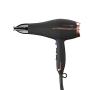 INFINITIPRO BY CONAIR 1875 Watt AC Motor Pro Hair Dryer with Ceramic Technology