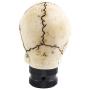 Jialuode Universal Skull Shifter Knob Car Shift Stick Handle Transmission Shifting Head Fit for SUV, Saloon car, Sedan, Truck and Van etc Bone Color