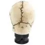 Jialuode Universal Skull Shifter Knob Car Shift Stick Handle Transmission Shifting Head Fit for SUV, Saloon car, Sedan, Truck and Van etc Bone Color Jialuode Universal Skull Shifter Knob Car Shift Stick Handle Transmission Shifting Head Fit for SUV, Saloon car, Sedan, Truck and Van etc Bone Color