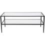 Flash Furniture Newport Collection Glass Coffee Table with Black Metal Frame