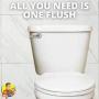 Nick The Fixer Toilet Tank Flush Stainless Steel Handle Valve Replacement - Universal Front Mount Tank Model for Stylish Chrome Finish