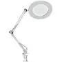 YOUKOYI LED Magnifying Lamp Metal Swing Arm Magnifier Lamp - Stepless Dimming, 3 Color Modes, 5X Magnification, 4.1'' Diameter Glass Lens, Adjustable Industrial Clamp for Reading/Office/Work (White)