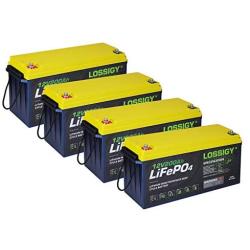 4Pack 12V200Ah LiFePO4 Deep Cycle Lithium Iron Phosphate RV Rechargeable Battery Built-in100A BMS 2560Wh 2000~5000 cycles Low Self-Discharge Safer Widely Used In Solar/Wind Marine Camper Outdoor