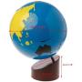 LANDUM Globe Montessori Geography Material Kids Early Learning Toy Of World Parts Multicolor