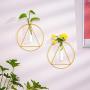 Wall Hanging Flower Vase 2 Pcs Geometric Glass Test Tube Planter with Metal Frame Round Hanging Bud Terrarium Container for Propagating Hydroponic Plants Home Decoration Green Plants Wedding, Gold