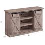 Pamari Wrangler Sliding Barn Door TV Stand, Ashland Pine