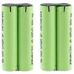 Kastar 2-Pack 2.4V 1000mAh Ni-MH Rechargeable Battery Replacement for Philip Sonicare HX6210, HX6210-02, 4235-010-20455, 423501020455, Waterpikk SR-3000 & WP-900 Toothbrush (Some)